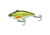 Live Target Livetarget Golden Shiner Lipless Rattlebait, Sinking, Glow/Gold, 2 7/8in, 1/2oz, #6 Hook, GS70SK212
