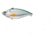 Live Target Livetarget Golden Shiner Lipless Rattlebait, Sinking, Silver/Green, 2 7/8in, 1/2oz, #6 Hook, GS70SK203