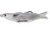 Live Target Mullet Hollow Body Topwater Lure, 6/0 SW Hooks, Floating, Natural/Black, 1/2oz, 4 1/2in, MUH115T721