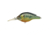 Live Target Pumpkinseed FS Roundbill,metallic/gloss,4 PS70M102