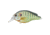 Live Target Pumpkinseed FS Squarebill,natural/matte,6 PSS60S100