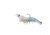 Live Target Rigged Shrimp Soft Plstc,white shrimp,1/0 SSF75SK912