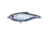 Live Target Scaled Sardine Twitchbait,ghost/natrl,#2 SST90S948