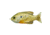Live Target Sunfish HB,surface,natural/Grn Blugill4/0 SFH90T554