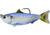 Live Target Threadfin Shad Swimbait