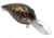 Livingston Lures Diablo Lure, Ghost Brown Craw, 4491
