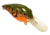 Livingston Lures Diablo Lure, Okie Craw, 4449