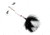 Livingston Lures EBS Spinner 158 Lure, White Black, 6478