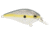 Livingston Lures FlatMaster SQ Lure, Chartreuse Shad, 5803