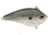 Livingston Lures FlatSide 50 Lure, XXX Shad, 4133