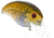 Livingston Lures Howeller DMC SQ Lure, True Bream, 10335