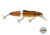 Livingston Lures Pounder Lure, Carp/Suckerfish, 7251
