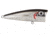 Livingston Lures Walk N Pop 67 Lure, Black Back Chrome Shad, 5305