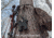 Loc Outdoorz Pro Huntr Treestand/Camera Belts