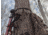 Loc Outdoorz Pro Huntr Treestand/Camera Belts