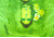 Sample 2