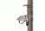 Lone Wolf Treestands Alpha Hang On Tree Stand, Gray AHO II