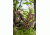 Lone Wolf Treestands Alpha Hang On Tree Stand, Gray AHO II