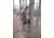 Lone Wolf Treestands Assault Hand Climber Combo Tree Stand, Gray ASHCC