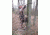 Lone Wolf Treestands Wide Flip Top Combo Tree Stand, Gray WFTC
