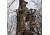 Lone Wolf Treestands Wide Sit and Climb II Combo Tree Stand, Gray WSCC II