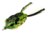 Lunkerhunt Compact Frog Bait Topwater, 1, 2.25in, Blue Gill, CPTF06