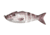 Lunkerhunt Gambit Swimbaits, 1, 4.5in, Silver Side, GS02