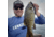 Lunkerhunt  Lunker Sticks Bait Soft Bait, 10, 5in, Pilsner Nitro Tip, LHPSTS5049