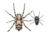 Lunkerhunt Phantom Spider Bait Topwater, 1, 2in, Dock, SPIDER02