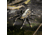 Lunkerhunt Phantom Spider Bait Topwater, 1, 2in, Fang, SPIDER07