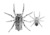 Lunkerhunt Phantom Spider Bait Topwater, 1, 2in, Huntsman, SPIDER08