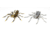 Lunkerhunt Phantom Spider Bait Topwater, 1, 2in, Huntsman, SPIDER08