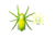 Lunkerhunt Phantom Spider Bait Topwater, 1, 2.25in, Leaf, LSPIDER03