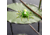 Lunkerhunt Phantom Spider Bait Topwater, 1, 2in, Leaf, SPIDER03