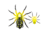 Lunkerhunt Phantom Spider Bait Topwater, 1, 2.25in, Poison, LSPIDER04
