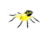 Lunkerhunt Phantom Spider Bait Topwater, 1, 2in, Poison, SPIDER04
