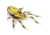 Lunkerhunt Phantom Spider Bait Topwater, 1, 2in, Six Spot, SPIDER01