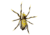 Lunkerhunt Phantom Spider Bait Topwater, 1, 2in, Six Spot, SPIDER01