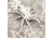 Lunkerhunt Phantom Spider Bait Topwater, 1, 2in, White Wolf, SPIDER06