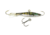 Lunkerhunt Straight Up Bait, Blue Gill, 1/2 oz, SUPH05