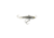 Lunkerhunt Straight Up Bait, Gizzard Shad, 7/8 oz, SUYR08