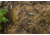 Lunkerhunt Straight Up Bait, Rocky, 3/16 oz, SUJQ02