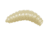 Lunkerhunt Wax Worm-Bait Jar Worm, 40, 0.75in, Glow, HWJ01