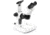 LW Scientific DM-Dual Mag Stereoscope 10X/30X, Dual LED Light Stand, DMM-S13N-7LL3