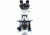 LW Scientific i4 Binoc Semen Evaluation Microscope, 100-1000x i4S-SEB4-iPL3