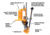 Lyman Brass Smith Victory Press, Orange, 7726350