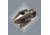 Lyman Chamfer/Deburr Accessory Tool 7810198