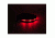 Nite Beams - LED Armband