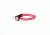 Nite Beams - LED Pet Collar