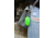 Mace Personal Alarm Keychain, Green, 80735